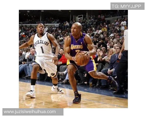 2009年灰熊与国王的激烈对决回顾与精彩瞬间分析 2009年灰熊与国王的激烈对决回顾与精彩瞬间分析