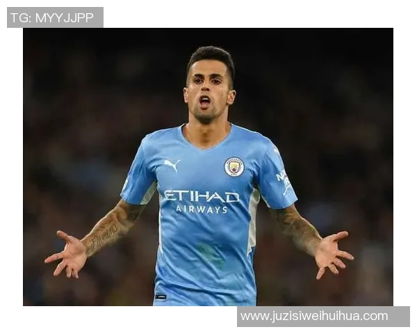 坎塞洛：从边后卫到全能战士的蜕变之路与足球生涯回顾