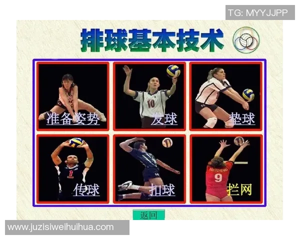 北京排球队的战术节奏解析与未来发展展望