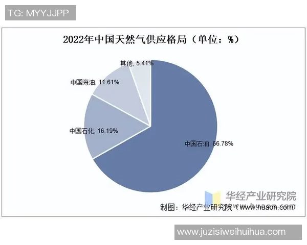专业分析：液化天然气市场的攻防策略与未来发展趋势