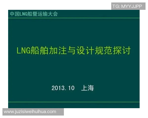 深度分析LNG市场的控制策略与应对措施探讨
